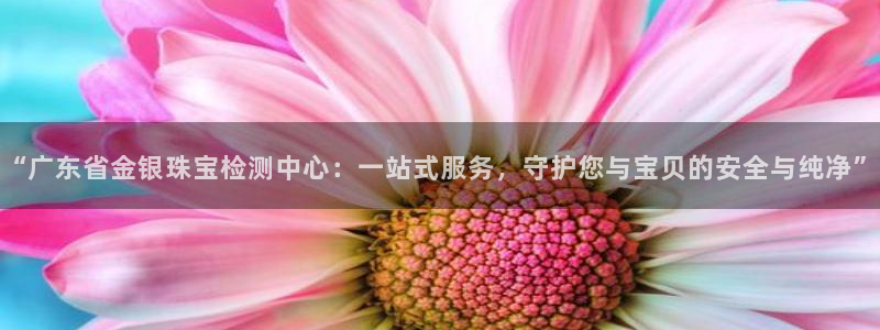 开丰娱乐登录平台下载：“广东省金银珠宝检测中心：一站式服务，守护您与宝贝的安全与