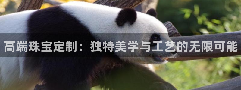 开丰娱乐67 5138：高端珠宝定制：独特美学与工艺的无限可能